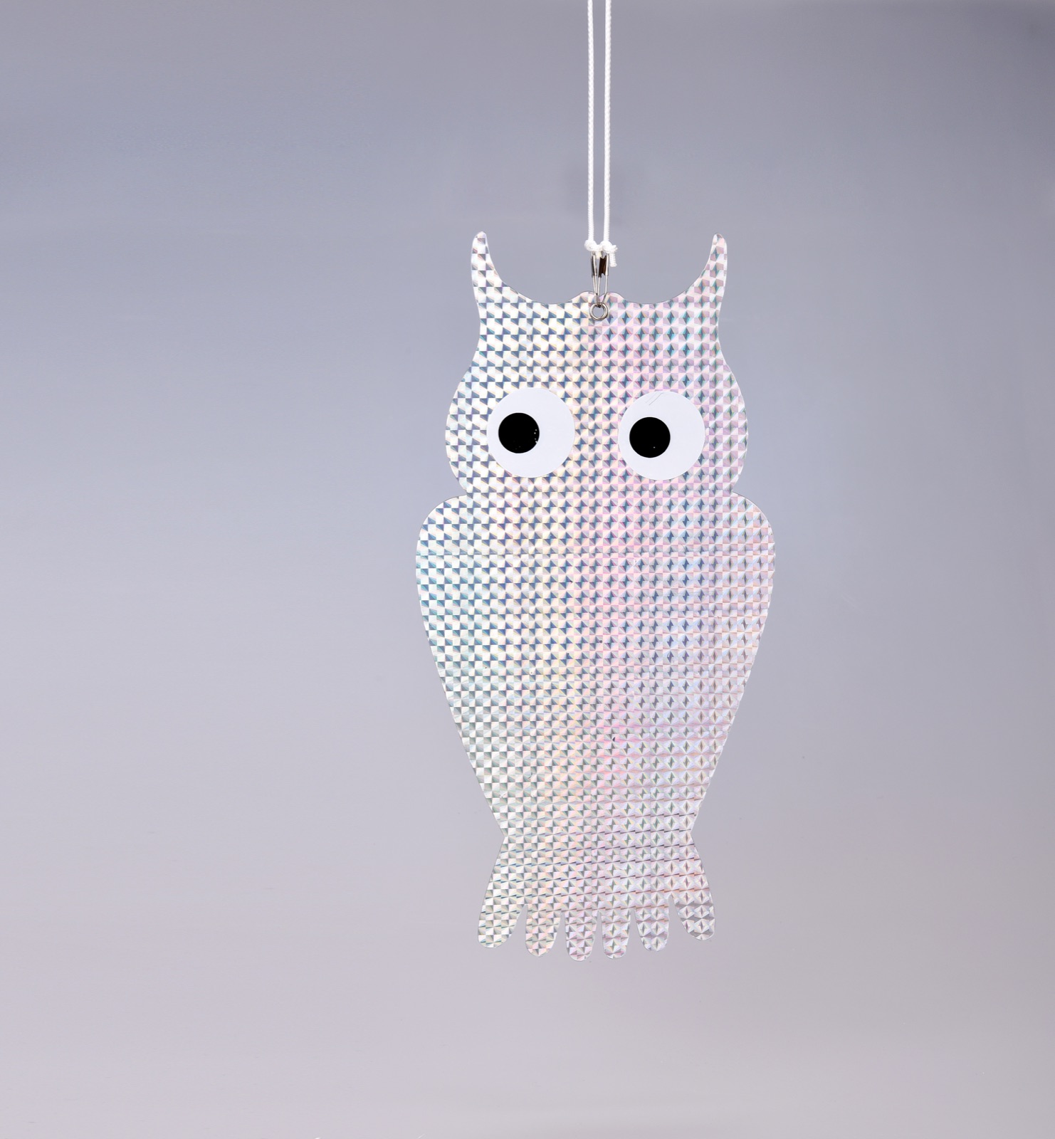 Reflective Bird Deterrent